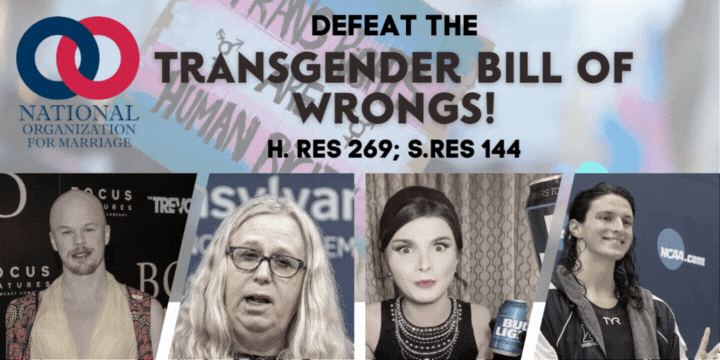 Defeat the Transgender Bill of 'Wrongs'